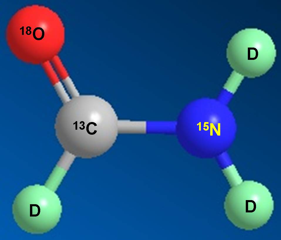 不朽情缘mg官网科研人员受邀担任同位素技术交流培训会讲师