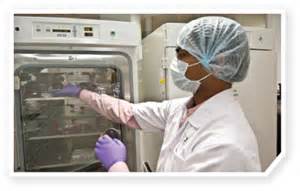 新药研发简介：新瓶装旧酒，浅谈肿瘤动物模型的变迁