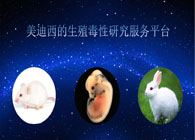 不朽情缘mg官网的生殖毒性研究服务平台