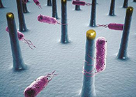 未来的药丸里，可能有一万亿个人工改造的细菌？