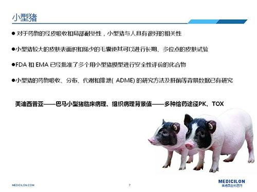 皮肤涂抹试验中，受试动物选择小型猪更好