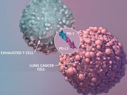 2017年度巨献：癌症免疫疗法重磅级研究解读