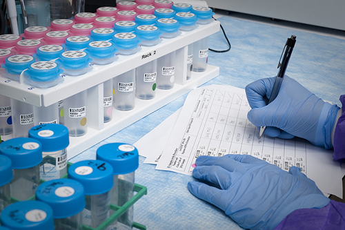 浅谈：创新药物IND申请之药学研究