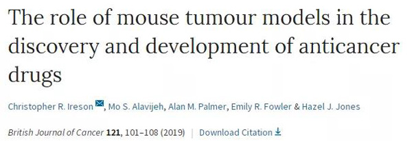 临床前小鼠模型如何。