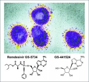基于细胞因子风暴和免疫炎症反应综合征，很多免疫相关靶点也可以列为冠状病毒的靶点。