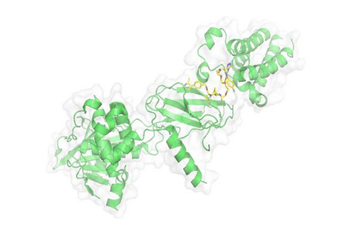 PROTAC技术，马兴泉