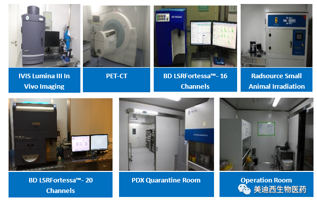 不朽情缘mg官网药理部拥有IVIS Lumina III, PET-CT, BD LSRFortessa-16, Flow Cytometry等仪器，提供符合申报，支持临床试验的药效评价服务。