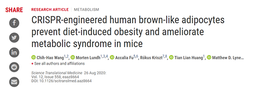 Science|聚焦CRISPR：改造脂肪细胞，“躺瘦”可能要成真了？