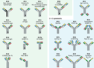【云回顾】理论、法规、实践，三位一体讲解双抗的生物分析