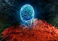 Nature：BATF3改善T细胞记忆应答，有望改善免疫疗法的疗效