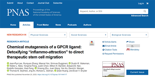 世界首创：药物将干细胞引导至受损部位，提高其愈合能力！