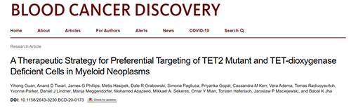 研究者描述了一种新型靶向抗癌药物，这种药物可能会有效地治疗某些常见的白血病。