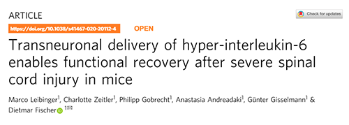 Nature：还瘫痪患者一个自由身的日子不远了