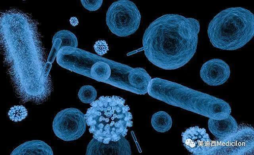 20分钟，大多数细菌都可以繁衍一代 不朽情缘mg官网生物医药