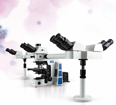 多头OLYMPUS光学显微镜