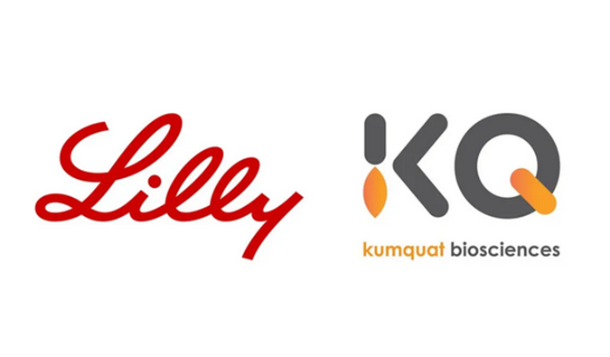 ：兀〔恍嗲樵祄g官网合作伙伴Kumquat Biosciences与礼来达成合作，共同开发肿瘤免疫小分子药