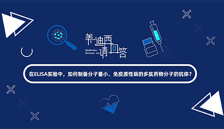 在ELISA实验，如何制备分子量小、免疫原性弱的多肽药物分子的抗体？