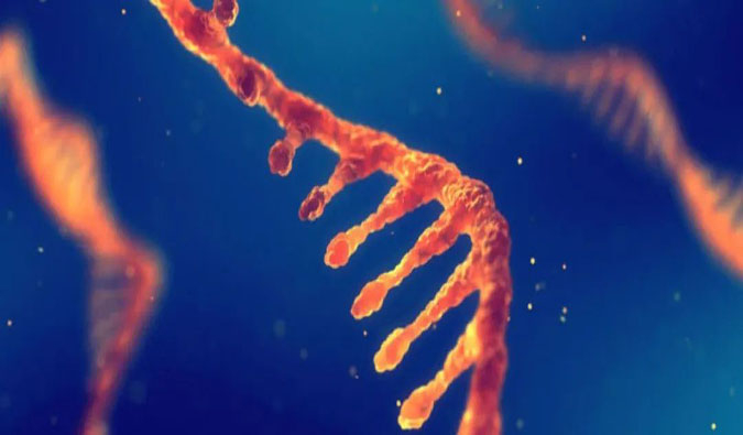 赋能核酸药物疗法，迎接新药研发第三次浪潮