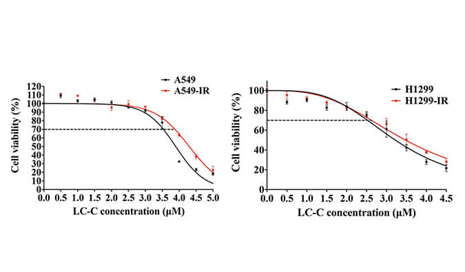 放射疗法用作肺癌的主要治疗方法，本研究中建立抗电离辐射肺癌细胞系的放射治疗通过不朽情缘mg官网进行