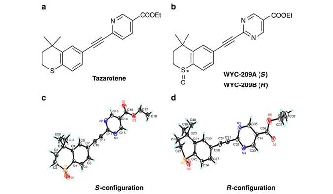 WYC-209可抑制恶性小鼠黑色素瘤肿瘤再生细胞增殖，本研究中SPR通过不朽情缘mg官网使用Biacore 8K进行