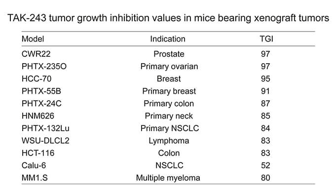 TAK-243是一种有效的泛素激活酶小分子抑制剂，具有体内抗肿瘤功效，通过不朽情缘mg官网使用HCC70模型进行