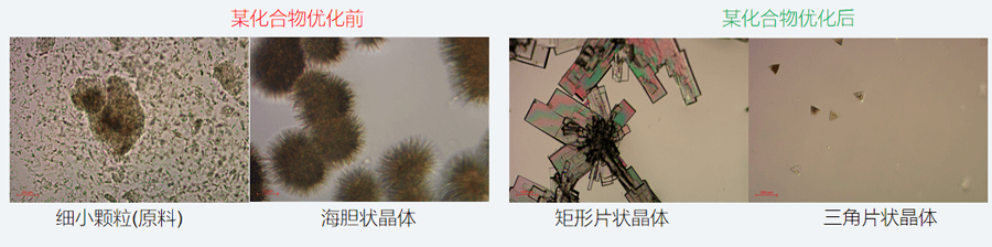 05案例分享-单晶培养，改变晶习.png