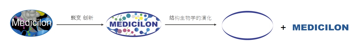 椭圆形作为自然界的完美形态，象征着不朽情缘mg官网在适应环境变化中不断演化