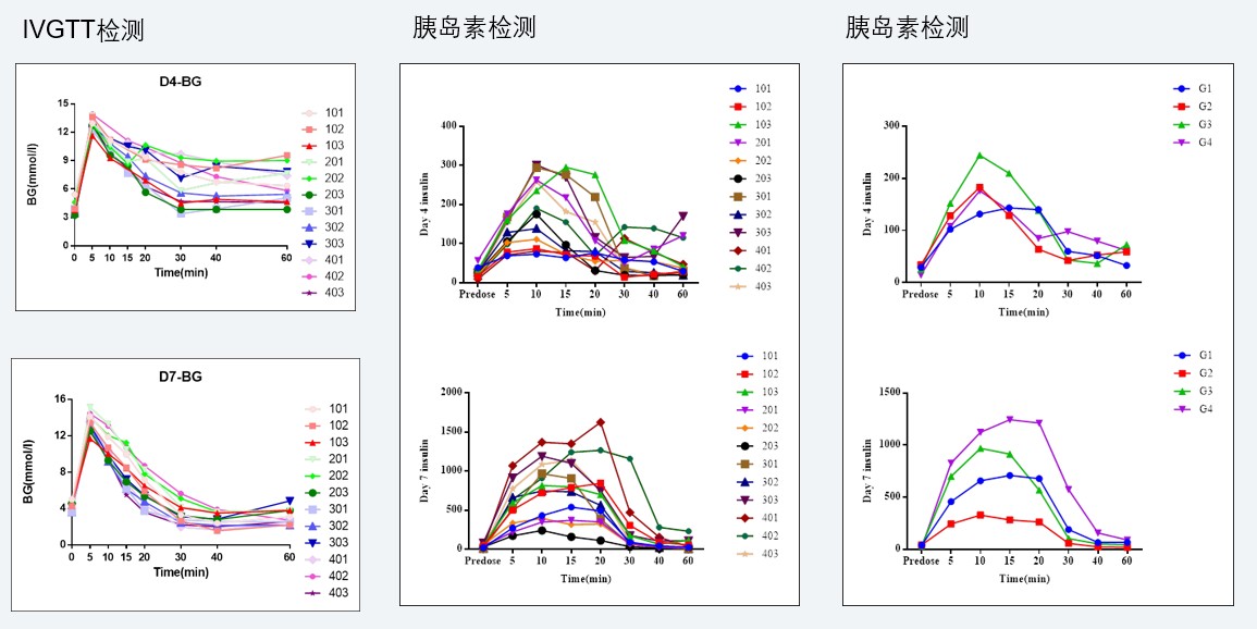 案例4：食蟹猴IVGTT和胰岛素检测实验.jpg