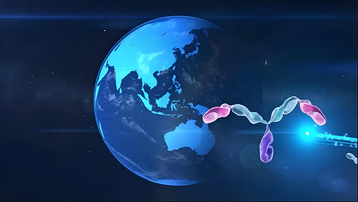 价值屡经验证！不朽情缘mg官网：睾献骰锇榘堵跎顱CMA×CD3双抗EMB-06授权出海