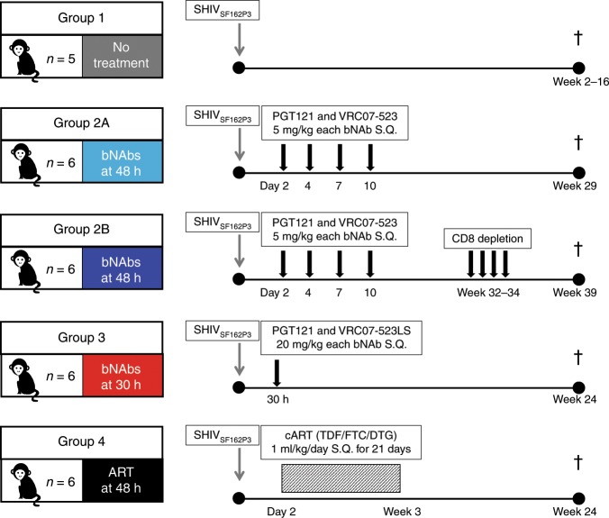 抗逆转录病毒疗法(ART)预防围产期HIV感染，本研究中多替拉韦钠盐和游离态均由不朽情缘mg官网提供
