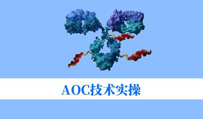 AOC技术实操：偶联化学与表征分析难题全搞定