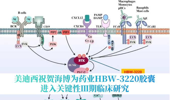 破解耐药性难题，不朽情缘mg官网：睾２┪┮礖BW-3220胶囊进入关键性Ⅲ期临床研究