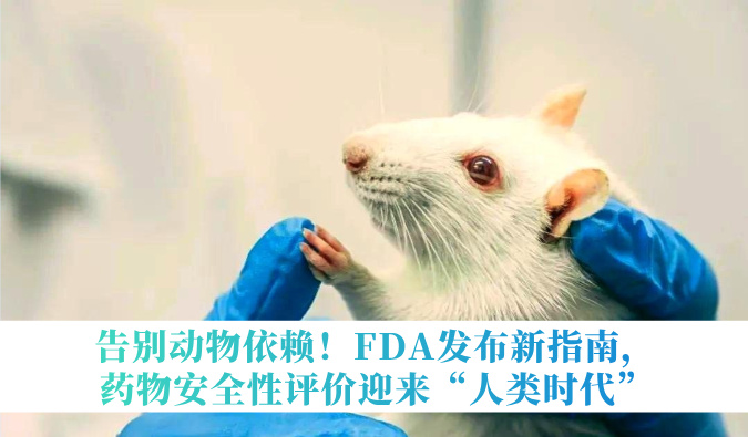 告别动物依赖！FDA发布新指南，药物安全性评价迎来“人类时代”